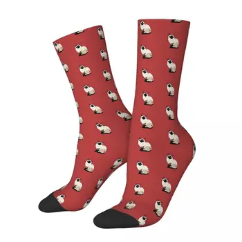 Сиамские носки Kawaii с красным Сидящим Котом, Спортивные Носки с мультяшным рисунком