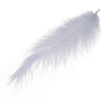 1000 X Перьев огненной курицы с заостренным хвостом, Бархатные перья 10-15 см белого цвета